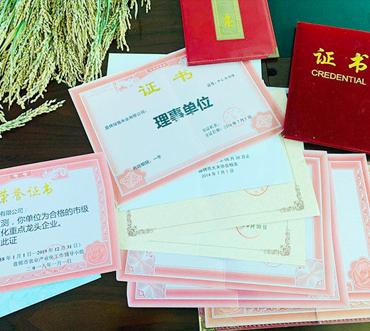  盤(pán)錦綠傲米業(yè)有限公司簡(jiǎn)介！